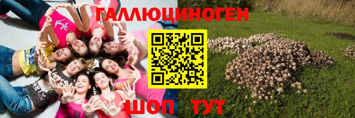 Электросталь  купить наркотики цена  Вход с VPN  Псилоцибиновые грибы Magic Shrooms 